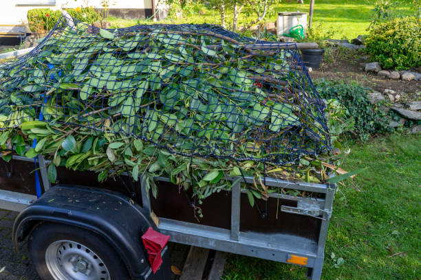 Best Same-Day Junk Removal Services  in Knightstown, IN